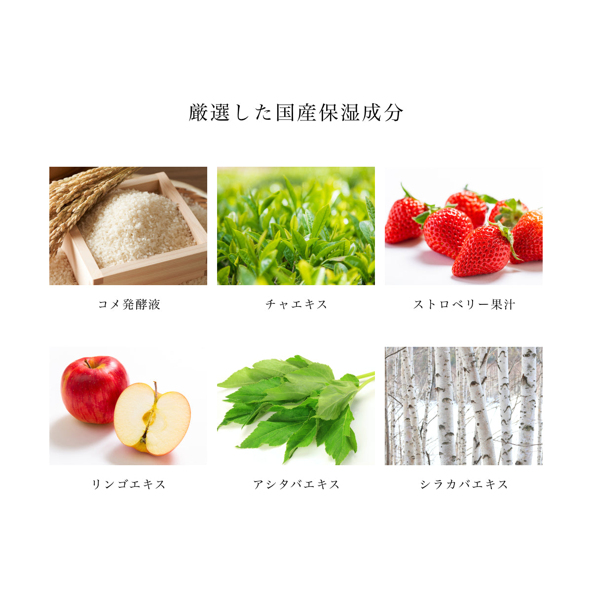 LA SINCIA IN/OUT Medicinal Body Scrub