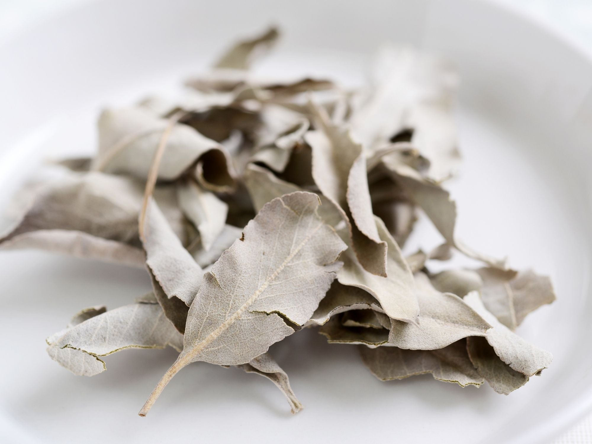 Deep Cleanse White Sage 10g